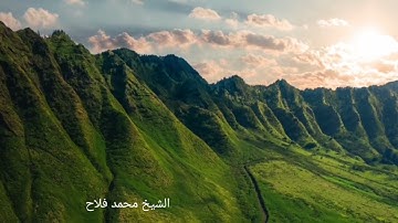 تلاوة خاشعة للشيخ محمد فلاح