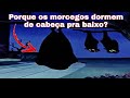 Porque os morcegos dormem de cabeça pra baixo?