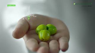 Nutrilite Vitamin C Cherry Plus product film - Hindi