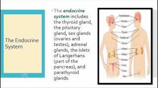 Medical Terminology Lesson 10 with Quiz