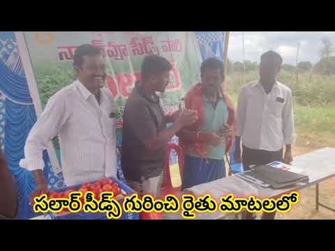 సలార్ సీడ్స్ గురించి రైతు మాటల్లో వినండి !!! మురళీకృష్ణ అగ్రికల్చర్ సపోర్ట్ 