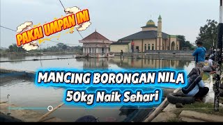 The Results Are Amazing  Wholesale Fishing For Nile Mr In Subang