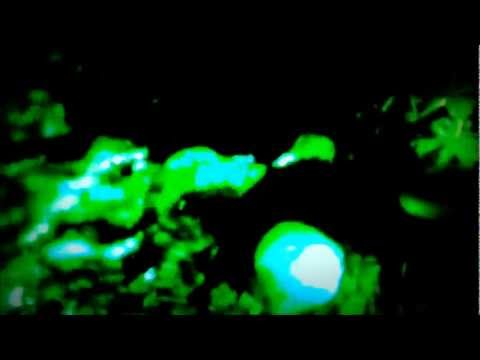 USA X-Files (Area-51/ UFO Explosion/ Alien Abducion) NASA - USARMY.doc