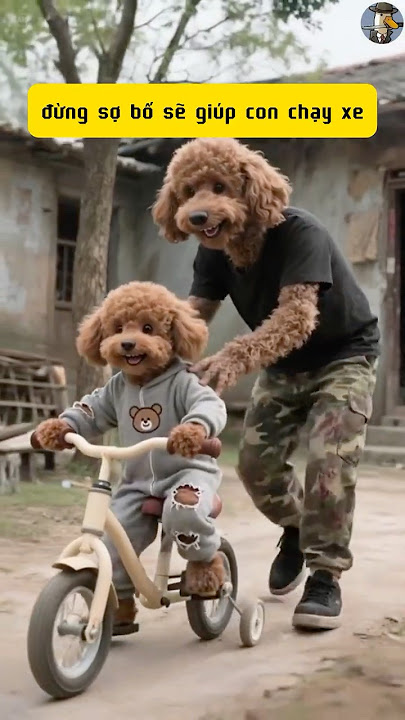 Maomao's childhood #ai #dog #shorts #poodle #cute