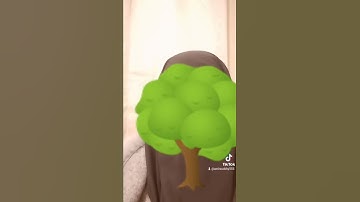 سوره عبس