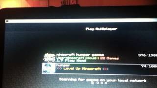 2 minecraft servers