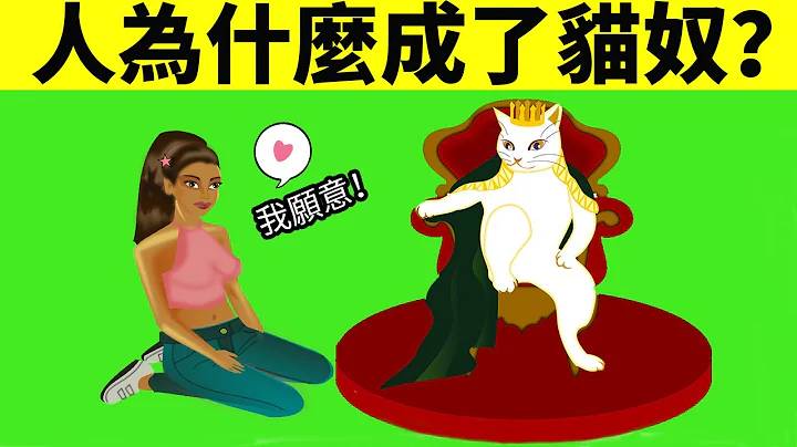 人为什么会变成猫奴？吸猫成瘾原来是因为这个？！ - 天天要闻