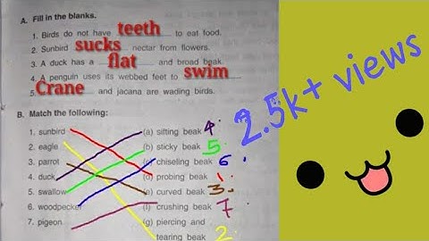 Dav Class -4 Science Ch-5 Birds (Beaks and Claws) Book exercises Part -3