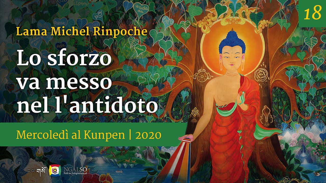 18 - Lo sforzo va messo nel l'antidoto - Mercoledì al Kunpen con Lama Michel Rinpoche