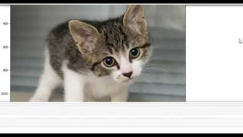 Image processing project using Jupyter Notebook