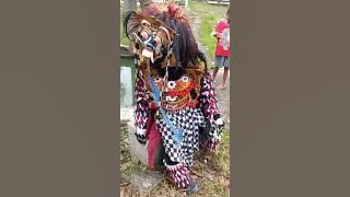 leak bali datangi anak maen lato lato