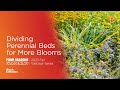 Dividing Perennial Beds for More Blooms: Four Seasons Gardening Webinar