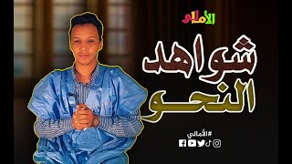 الأمالي الموسم 2، الحلقة 30: شواهد النحو (مغني اللبيب أنموذجا)