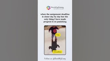 When the Deadline closes.... #funnyimages #memes #assignment #deadlinemood