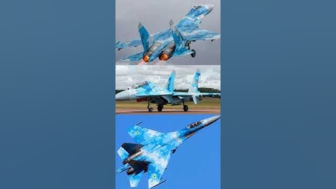 The Russian Su-27 Falcon #shorts #su27 #aircraft #falcon #sukhoi