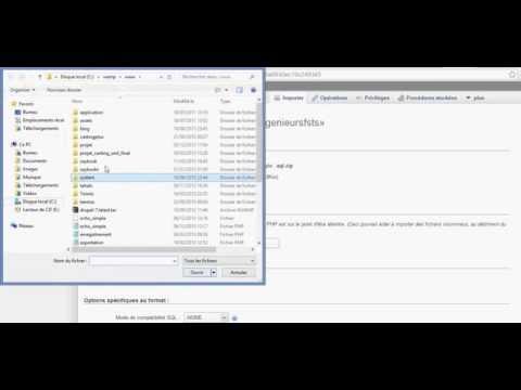 Vidéo: Comment Importer Une Base De Données