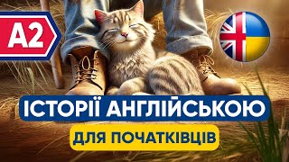 :    ||    || The Farmer's Cat - A2