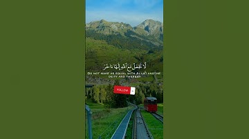 #قران_كريم #اكسبلور #quran #تلاوة_خاشعة #دويتو #ريلز #ريلزات #duet #قرآن #ياسر_الدوسري #المنشاوي