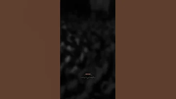 اخوان شيعه وشيعه سيد فاقد الموسوي 