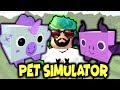 🐱 DÜNYA'NIN EN GÜZEL PETLERİ 🐶| ROBLOX PET SİMULATOR