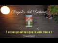 🎁🌟 Regalos del Destino: 5 cosas positivas que la vida trae para ti 🍀✨ TAROT INTERACTIVO