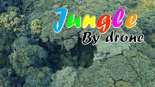 ZA KZN Giba Gorge(Jungle) | St.Helier Rd | Hiking Trails[DJI Air 2S(4K)]06032022