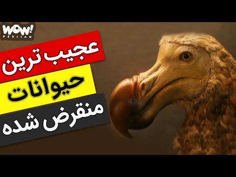 تصویری: چه حیواناتی منقرض شدند