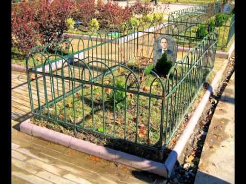 კოკისპირული