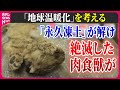 【地球温暖化を考える】解け続ける“永久凍土”肉球もそのまま…/ ローマでも40℃超…国連は「地球沸騰」と警鐘/ 環境活動家・グレタさん一時拘束　など　ニュースまとめライブ（日テレNEWS LIVE）