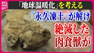 【地球温暖化を考える】解け続ける“永久凍土”肉球もそのまま…/ ローマでも40℃超…国連は「地球沸騰」と警鐘/ 環境活動家・グレタさん一時拘束　など　ニュースまとめライブ（日テレNEWS LIVE）