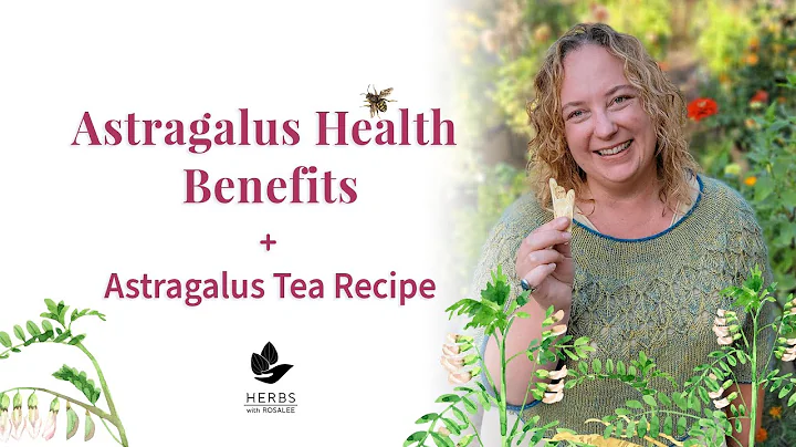 Astragalus Benefits Astragalus membranaceus + Astragalus Tea Recipe - DayDayNews