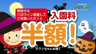 ドイツの森　公式チャンネル