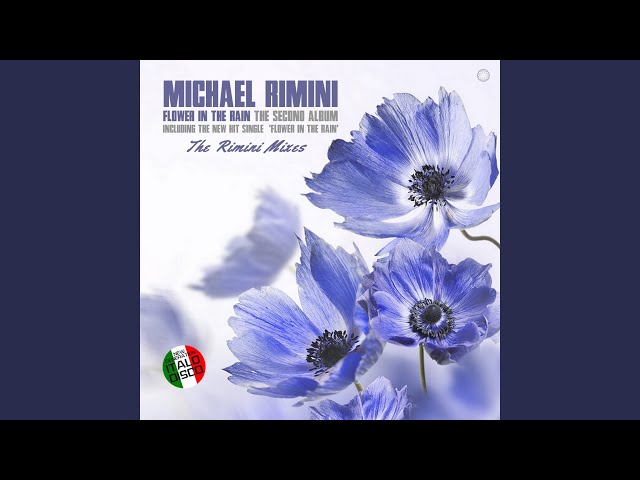 Michael Rimini - Flower in the Rain