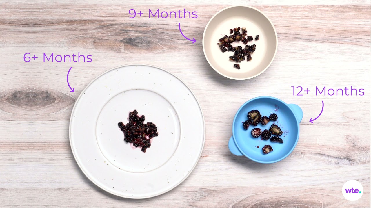 Blackberries for Babies - First Foods for Baby - Solid Starts