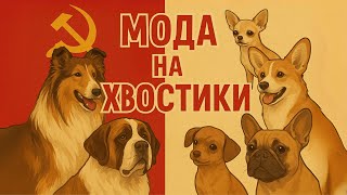 Топ-8 Собак Ссср И Топ-8 Собак Сейчас Сравним.