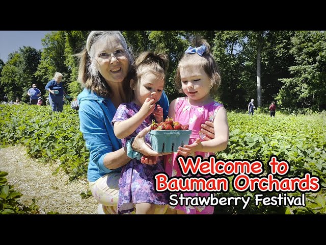 Small Gift Fruit Basket - Bauman Orchards