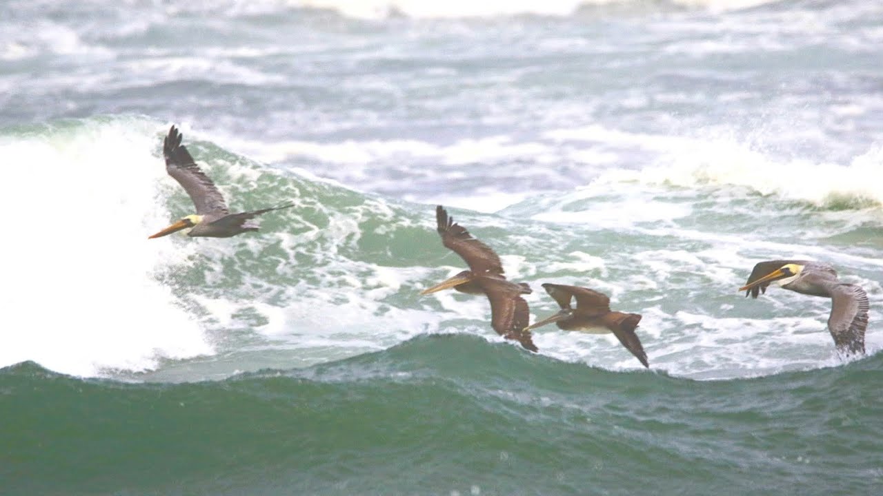 Let's declutter my bedroom #subscribe #cleaninghome #declutter #moving 