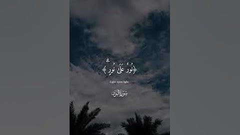 آيات من سورة النور - شريف مصطفى