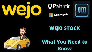 Palantir and Microsoft Invested in this Auto Company. Should You? PLTR WEJO