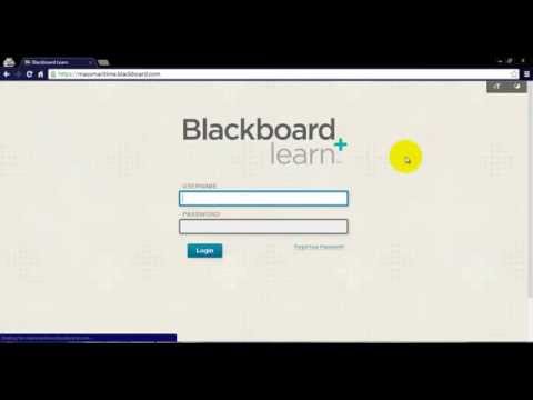 How to log on to Blackboard