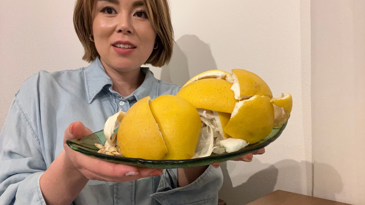 🍋 2026.4.9 🍋 後半戦