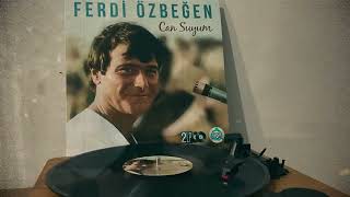 Ferdi Özbeğen - Her Gece (Plak Kaydı) Resimi