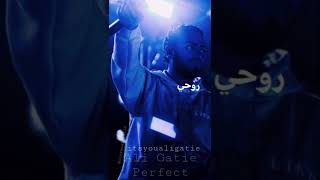 Perfect- Ali Gatie, out now #aligatie #fyp #perfect #arabic #newmusic