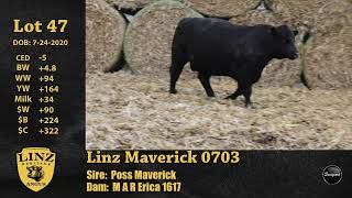Linz Lot 47 - Linz Maverick 0703