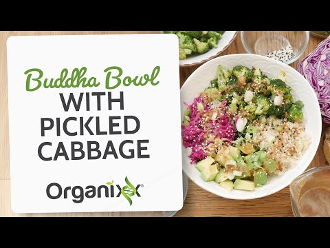 Buddha Bowl with Pickled Cabbage | Organixx Recipe