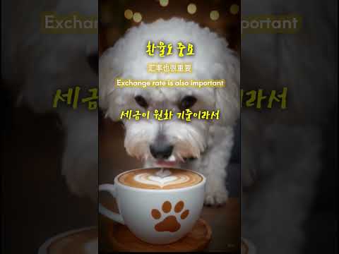 미국 절세팁은?? #재테크 #주식투자 #절세팁 #외국어#비숑프리제