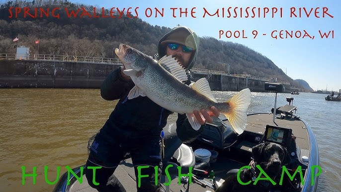 Fall Perch on Mississippi River Pool 9 (Featuring DWS Outdoors