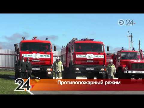 25 апреля в республике введут особый противопожарный режим