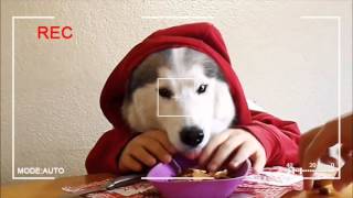 Reflex Reklam Yıldızı Video Yarışması - Hüseyin Çelikten