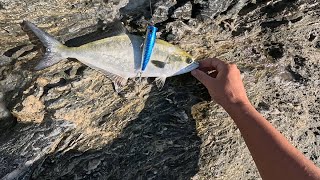 Yo Zuri Hydro Popper Leerfish